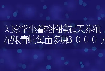 刘家学坐着轮椅撑起天养殖泥鳅青蛙每亩多赚3000元