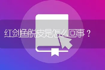 红剑鱼脱皮是怎么回事？