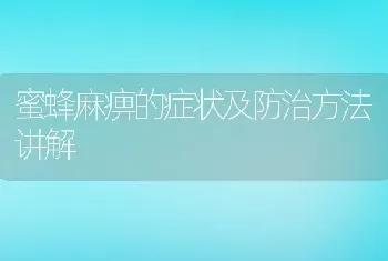 蜜蜂麻痹的症状及防治方法讲解