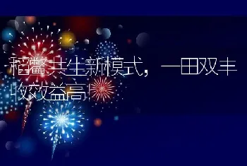 稻鳖共生新模式，一田双丰收效益高！