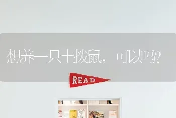 比熊、博美特点是什么？生活习性是什么？哪个最乖、最听话、最护主、最干净？