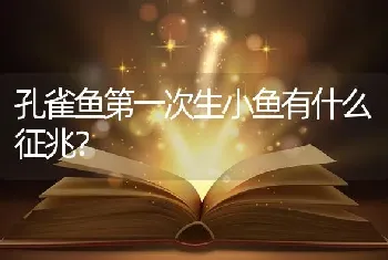 孔雀鱼第一次生小鱼有什么征兆？