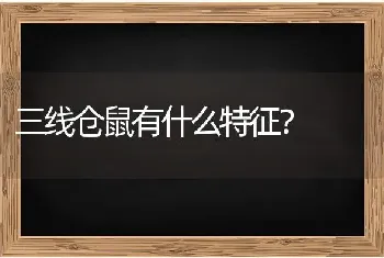 三线仓鼠有什么特征？