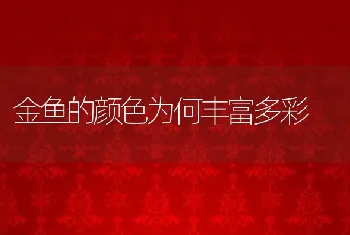 鳗鱼无公害健康养殖技术