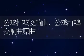 公鸡打鸣交响曲，公鸡打鸣交响曲原曲