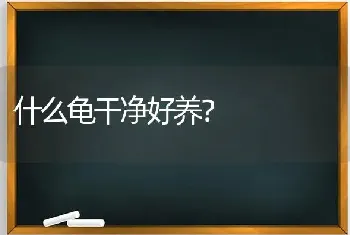 形容哈士奇的经典语句？