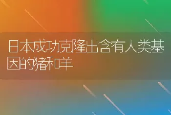 鳜鱼人工繁殖技术之亲鱼培育