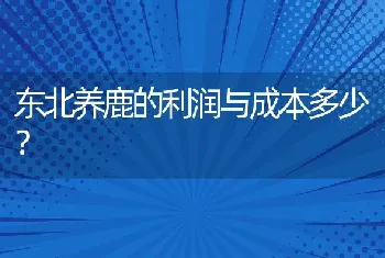 东北养鹿的利润与成本多少？