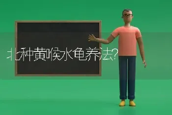 北种黄喉水龟养法？