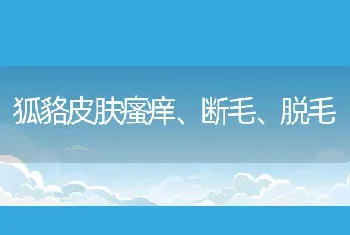 狐貉皮肤瘙痒、断毛、脱毛