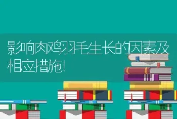 影响肉鸡羽毛生长的因素及相应措施！