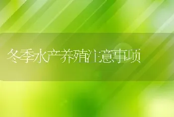 冬季水产养殖注意事项