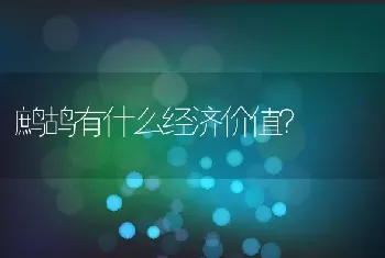 鹧鸪有什么经济价值？