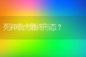 死神泰虎最终形态？