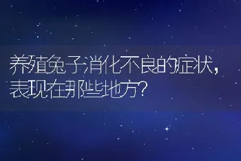 养殖兔子消化不良的症状，表现在那些地方？