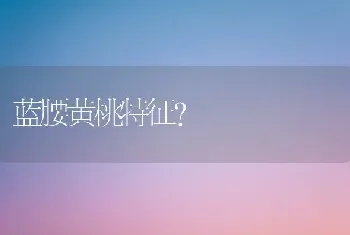 蓝腰黄桃特征？