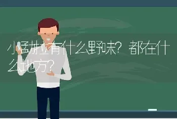 小勐拉有什么野味？都在什么地方？