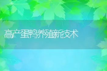 鹌鹑能患新城疫病吗？如何防治？