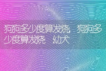 狗狗多少度算发烧，狗狗多少度算发烧 幼犬