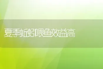 夏季蚯蚓喂鱼效益高