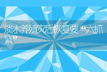 淡水养殖灾后恢复要六抓紧