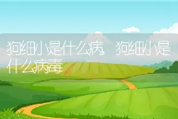 狗细小是什么病，狗细小是什么病毒