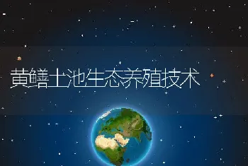 黄鳝土池生态养殖技术