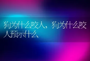 狗为什么咬人，狗为什么咬人预示什么