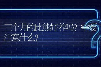 三个月的比熊好养吗？需要注意什么？