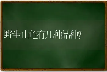 野生山龟有几种品种？