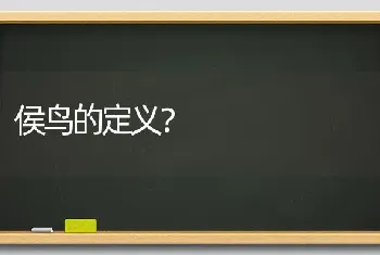 侯鸟的定义？