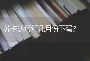 苏卡达每年几月份下蛋？