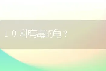 我家小狗收到惊吓会分泌液体，非常非常臭？