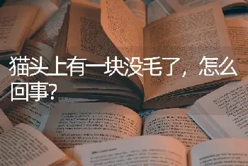 猫头上有一块没毛了，怎么回事？