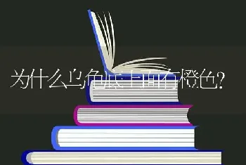 为什么乌龟底上面有橙色？