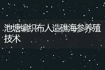 池塘编织布人造礁海参养殖技术