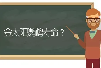 金太阳鹦鹉寿命？