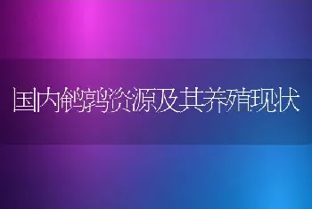 国内鹌鹑资源及其养殖现状