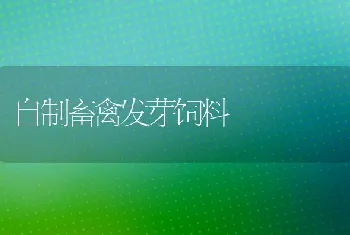 家兔饲养管理中的几个误区