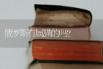 俄罗斯有属猫的吗？