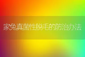 黄鳝的雌雄要怎么辨别