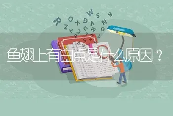 鱼翅上有白点是什么原因？