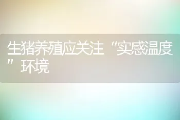 生猪养殖应关注实感温度环境