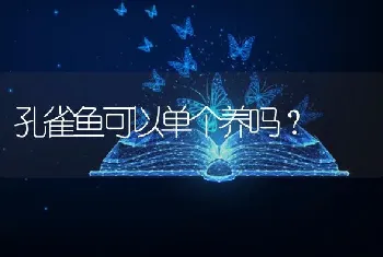 孔雀鱼可以单个养吗？