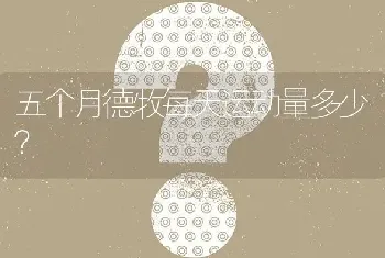 五个月德牧每天运动量多少？