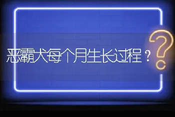 恶霸犬每个月生长过程？