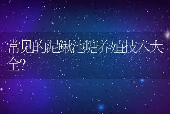 常见的泥鳅池塘养殖技术大全？