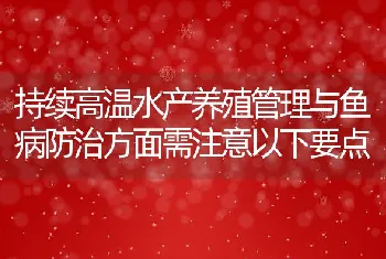 持续高温水产养殖管理与鱼病防治方面需注意以下要点