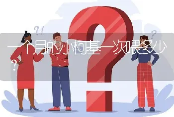 一个月的小柯基一次喂多少？