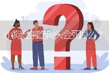 小狗经常吃骨头会死掉么？